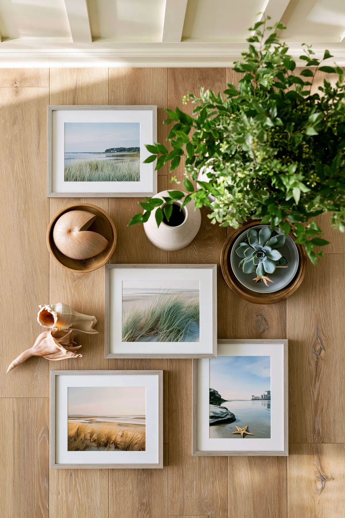 Coastal Calm Gallery